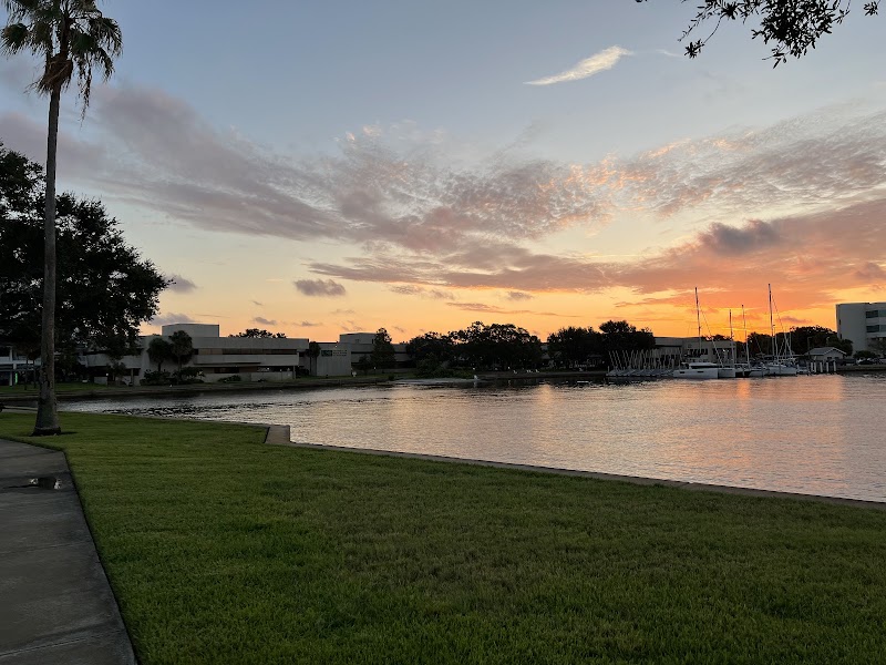 Department of Verbal and Visual Arts image 2