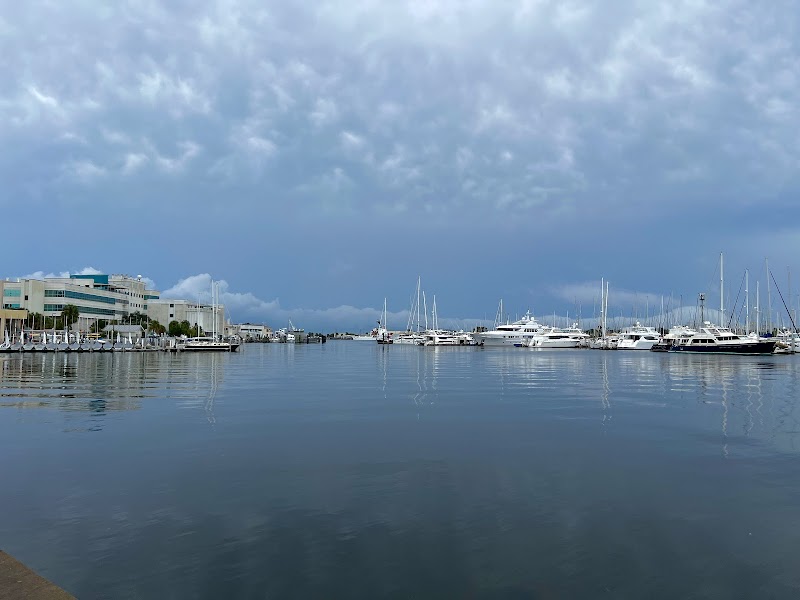 Department of Verbal and Visual Arts image 4