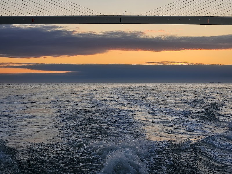 Bay to Gulf Charters image 3