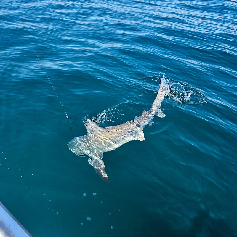 Matador Deep Sea Fishing image 4