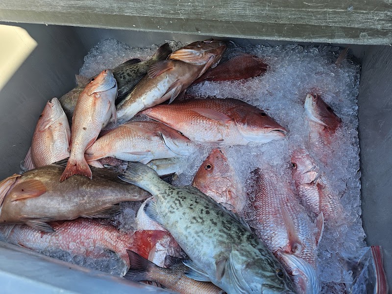 Matador Deep Sea Fishing image 5