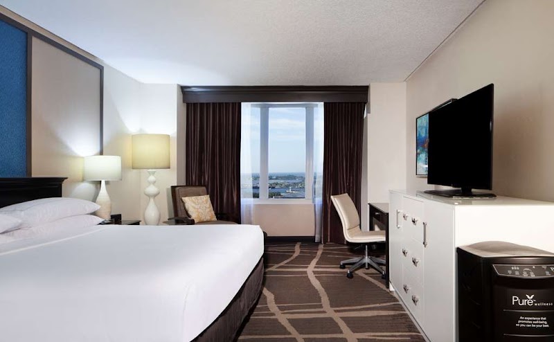 Hilton St. Petersburg Bayfront image 2