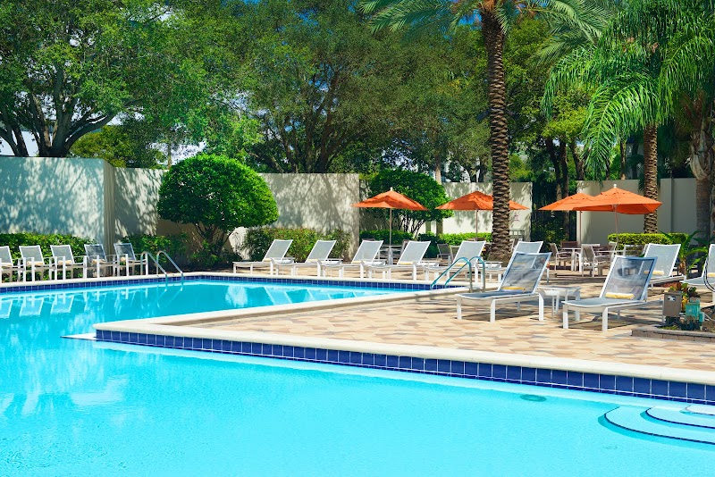 Hilton St. Petersburg Bayfront image 3