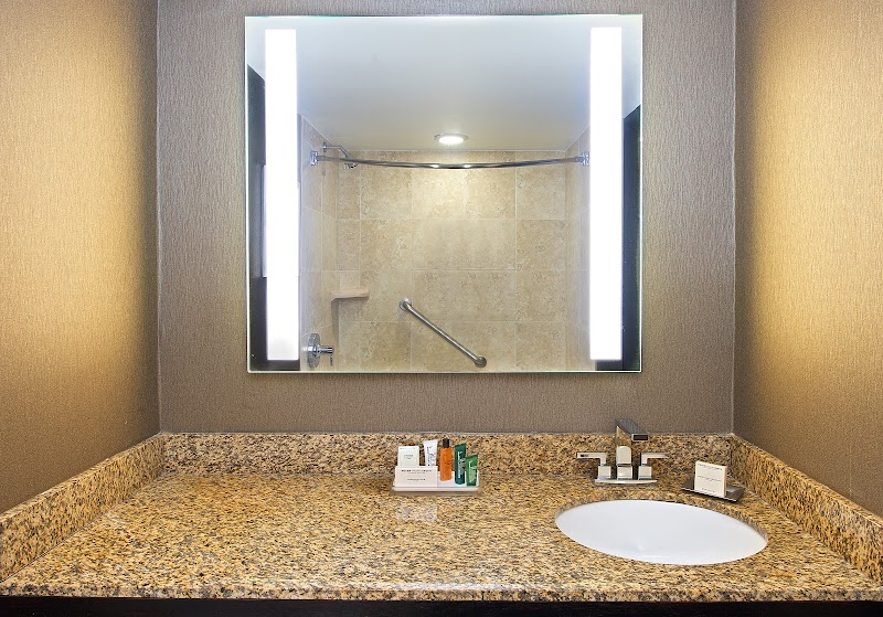 Hilton St. Petersburg Bayfront image 4