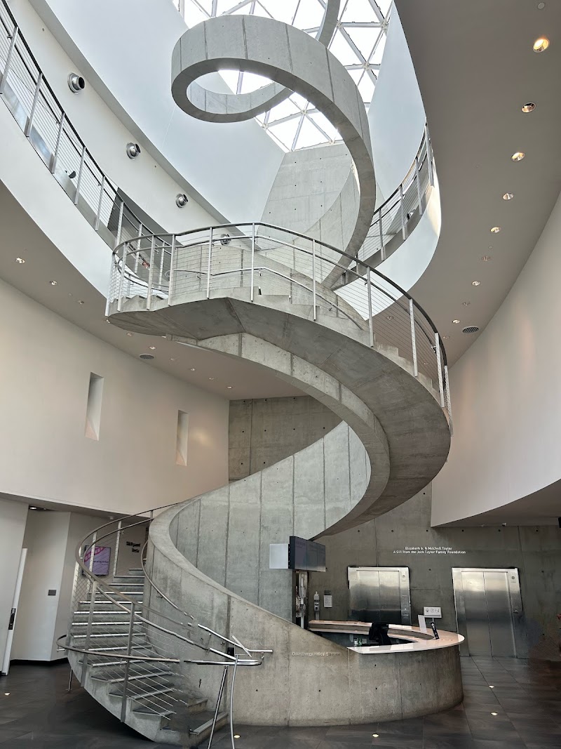 The Dalí Museum image 3