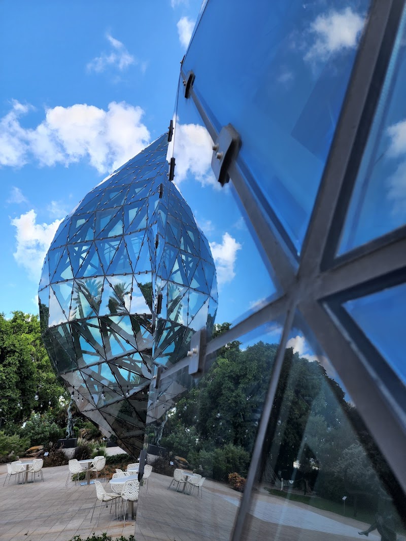 The Dalí Museum image 5