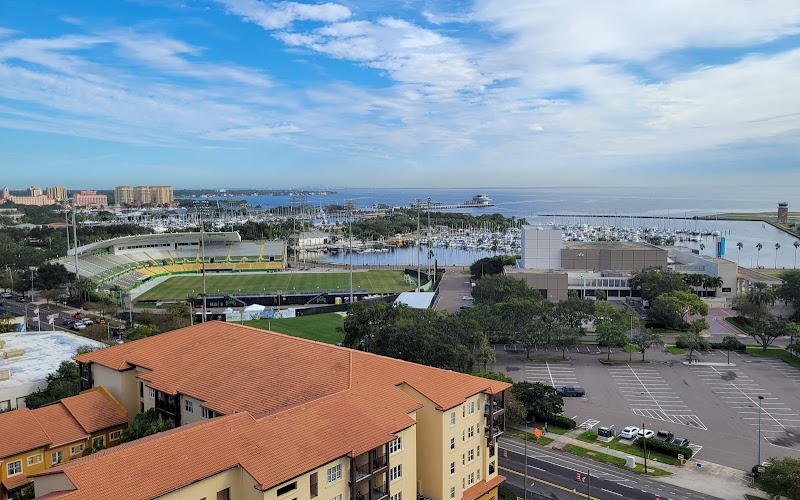 The Salvador image 1