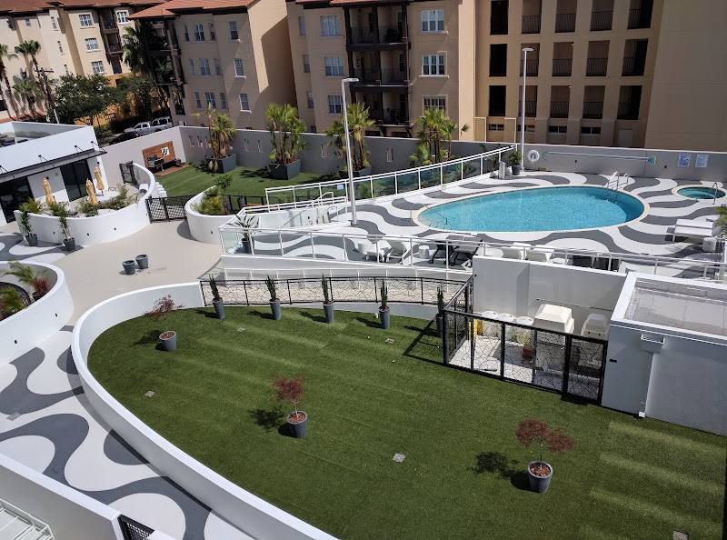 The Salvador image 2