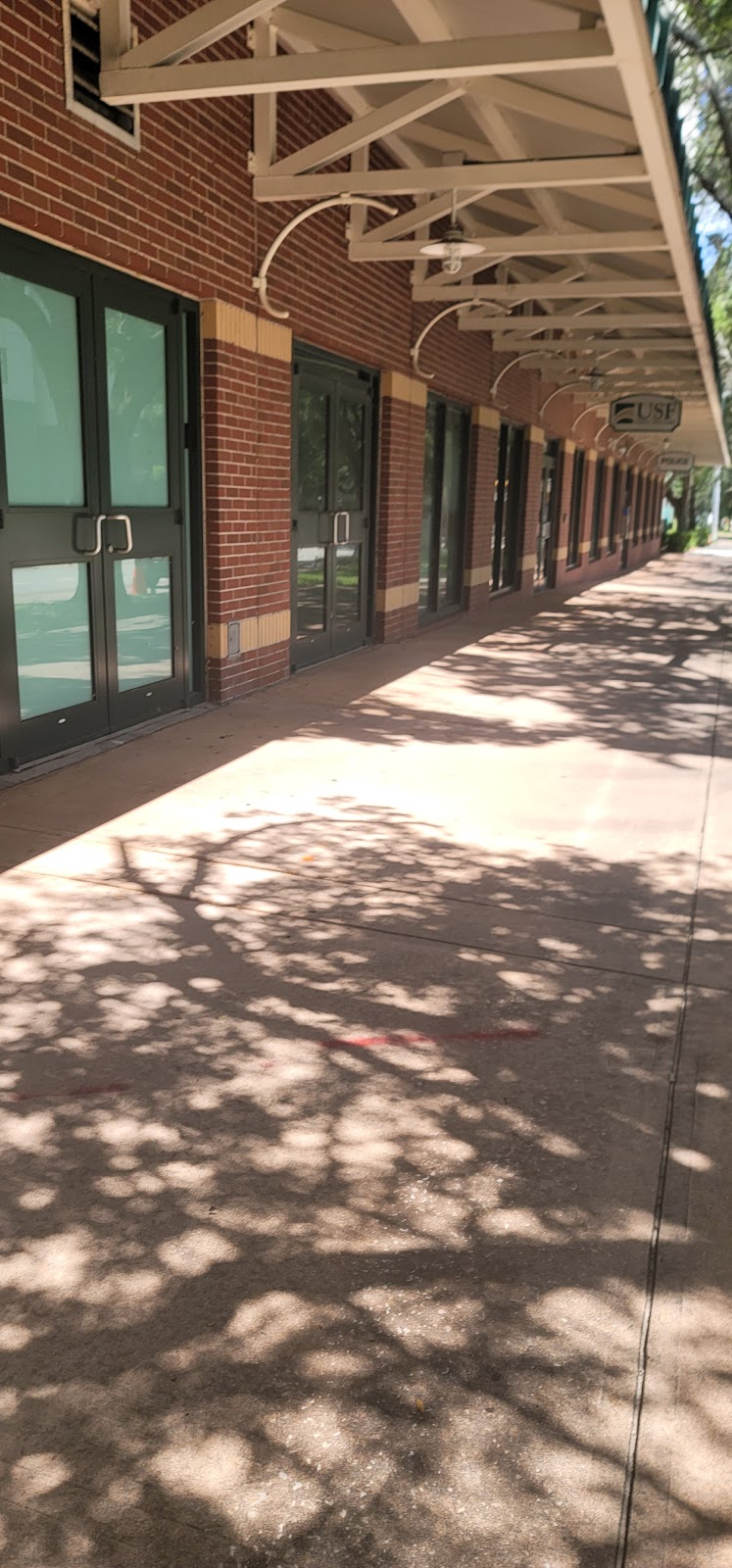 USF Credit Union Gallery Image