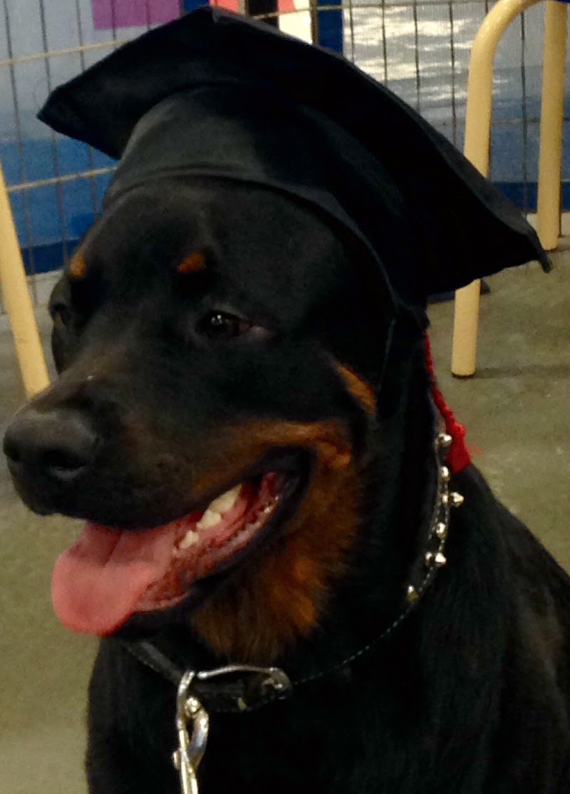 Coffee Counseling, Coaching, and Consulting, LLC Gallery Image