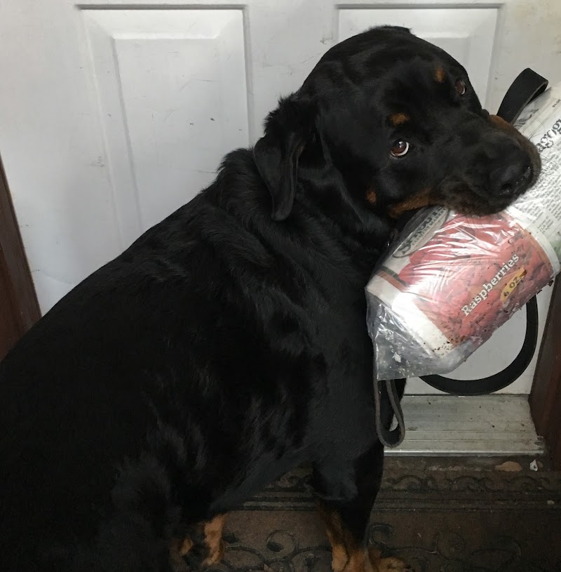 Coffee Counseling, Coaching, and Consulting, LLC Gallery Image