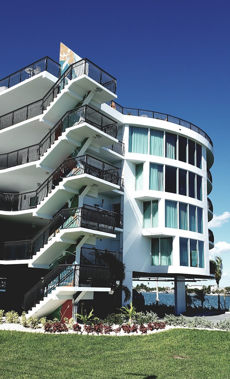 Koly International Inc image 2