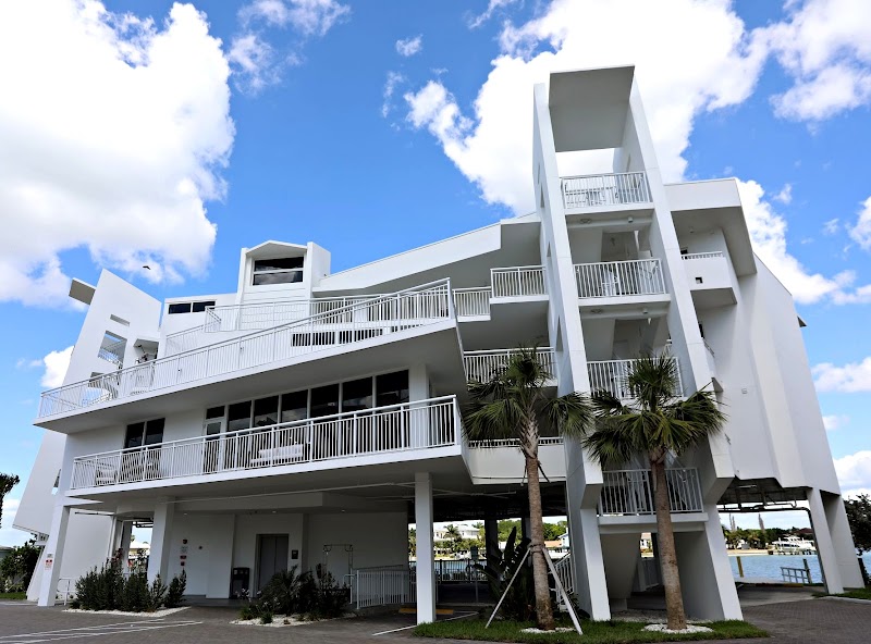 Koly International Inc image 5