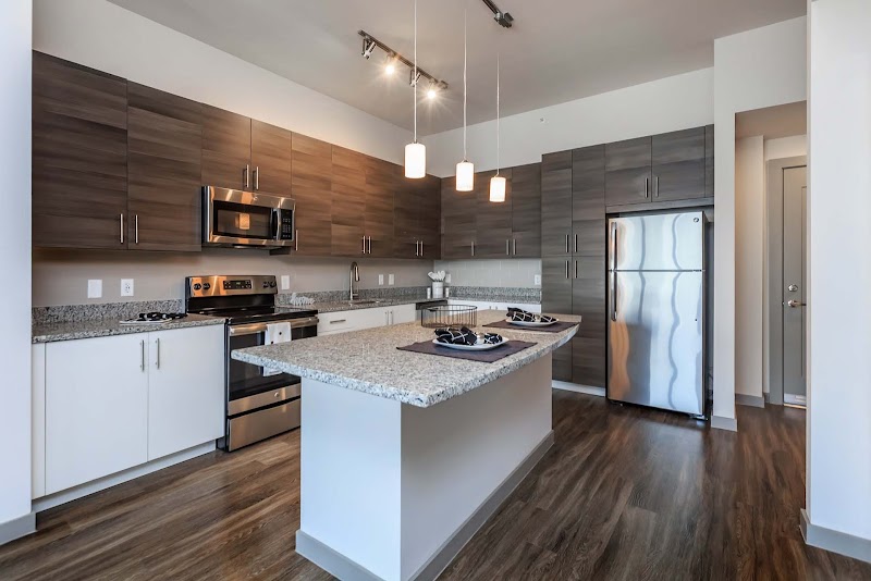 Windsor Central Arts Apartments image 5