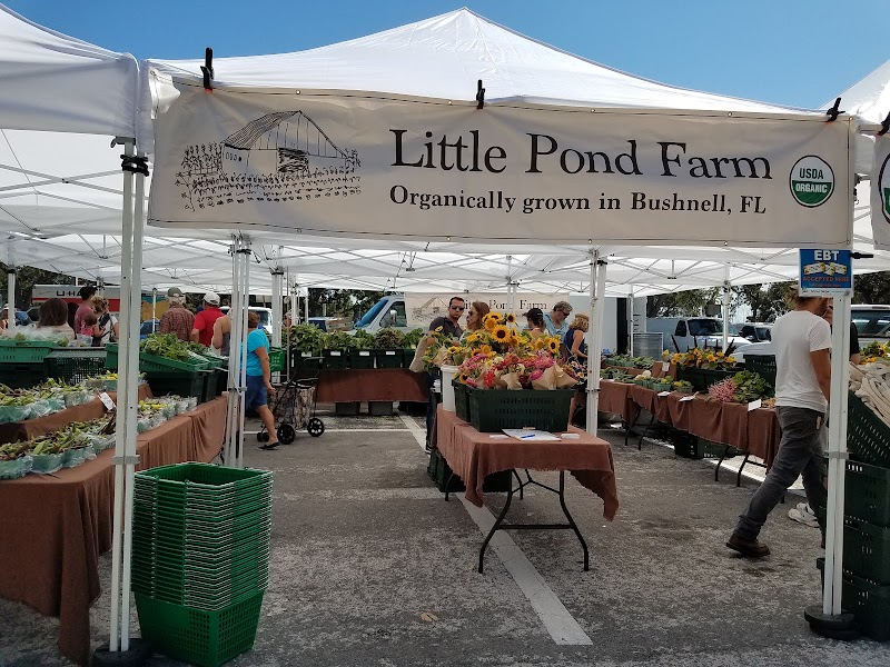 St. Petersburg Saturday Morning Market image 1