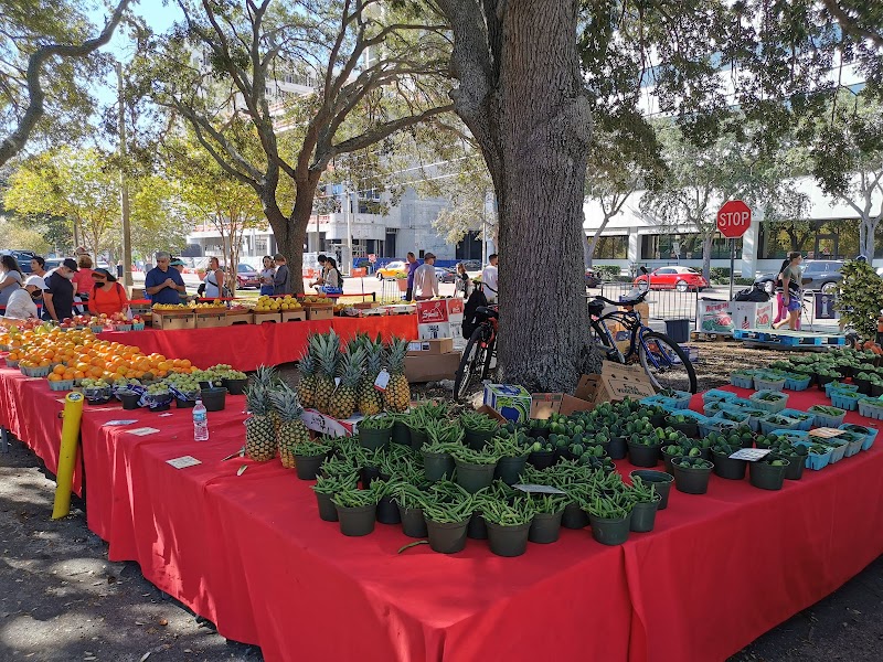St. Petersburg Saturday Morning Market image 3