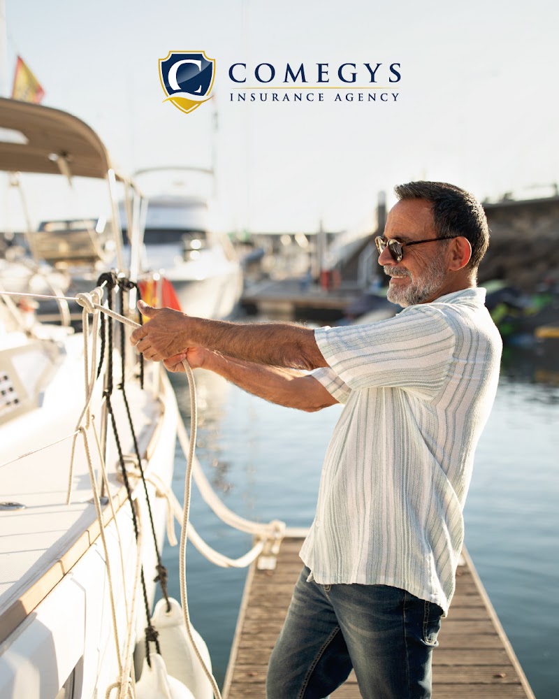 Comegys Insurance Agency image 1