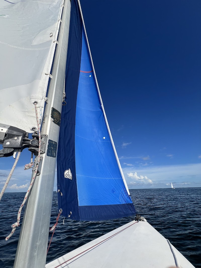 St Petersburg Sailing Center image 2