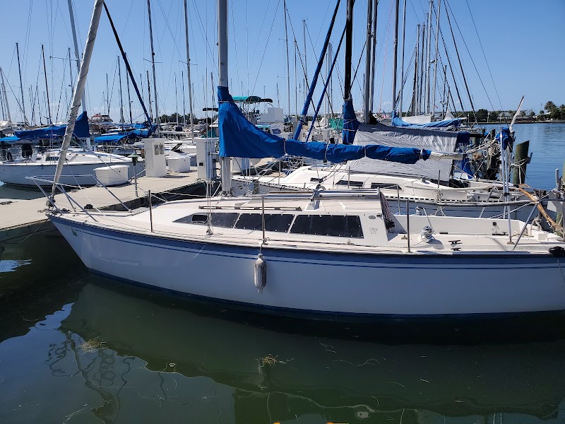 Pier One Yacht Sales - St. Petersburg Municipal Marina image 2