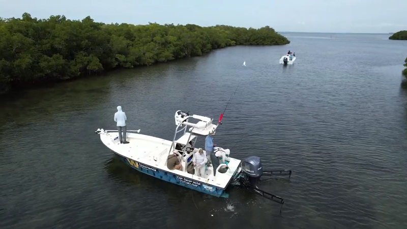 Imperial Sportfishing | Premium Fishing Charters image 5