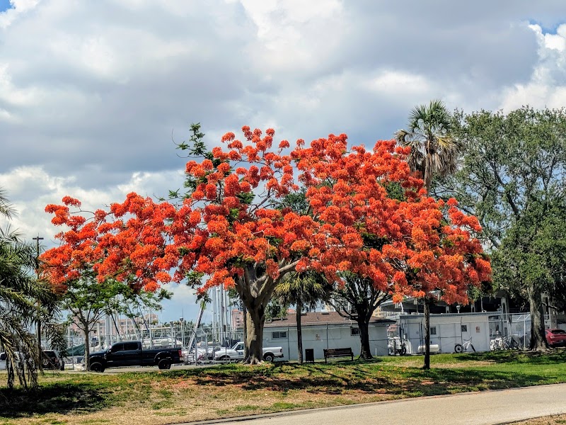 550 2nd Ave SE Parking image 2