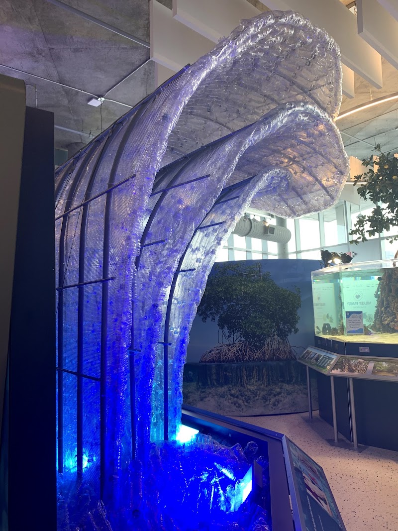 Tampa Bay Watch Discovery Center Gallery Image