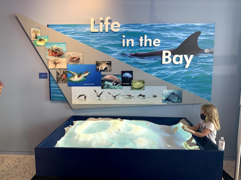 Tampa Bay Watch Discovery Center Gallery Image