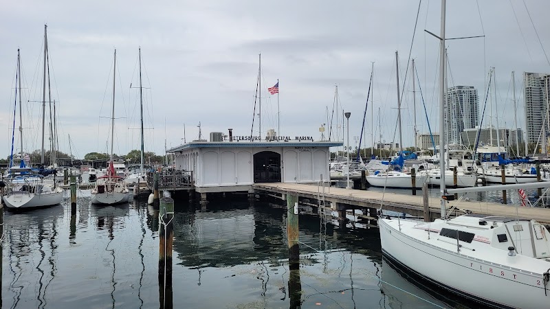 Somewhere South Fishing Charters image 5