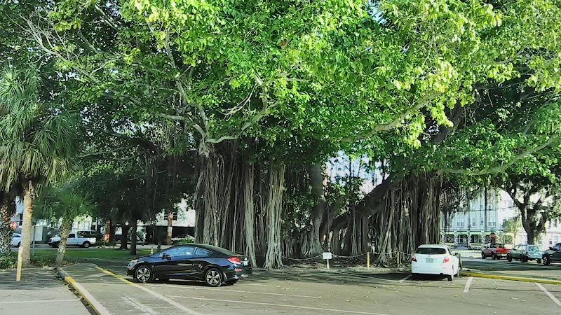 The Sunshine Center image 5