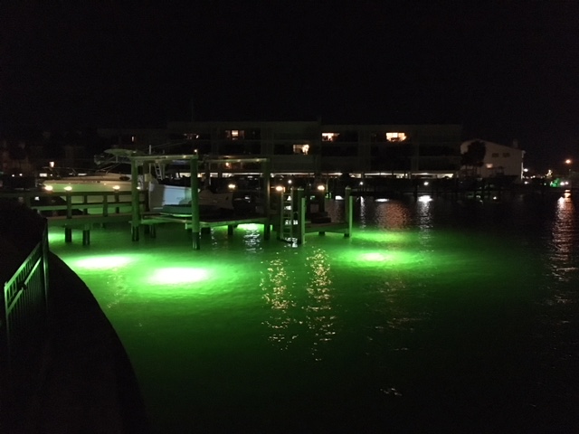 Assured Electronics - Underwater Dock Lights image 4