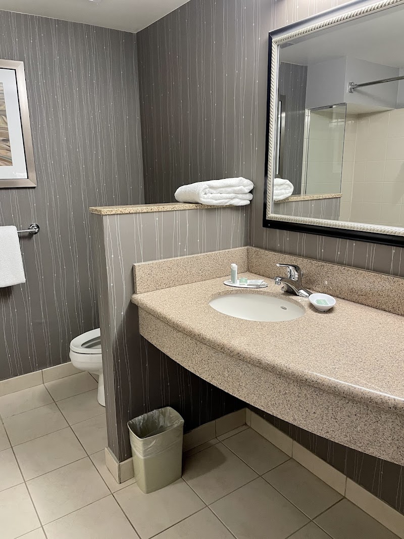 Courtyard by Marriott St. Petersburg Downtown Gallery Image