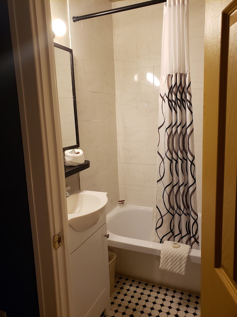 Hollander Hotel St. Petersburg / Downtown image 4