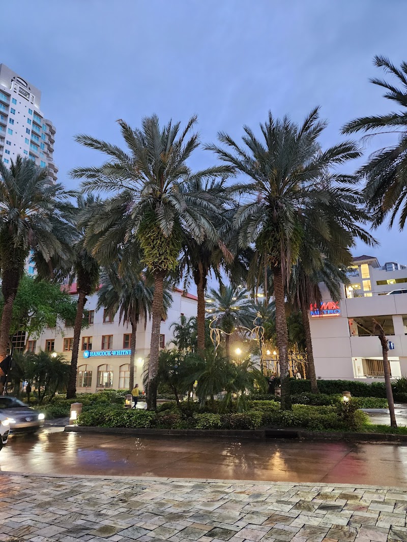 The Vann Team image 1