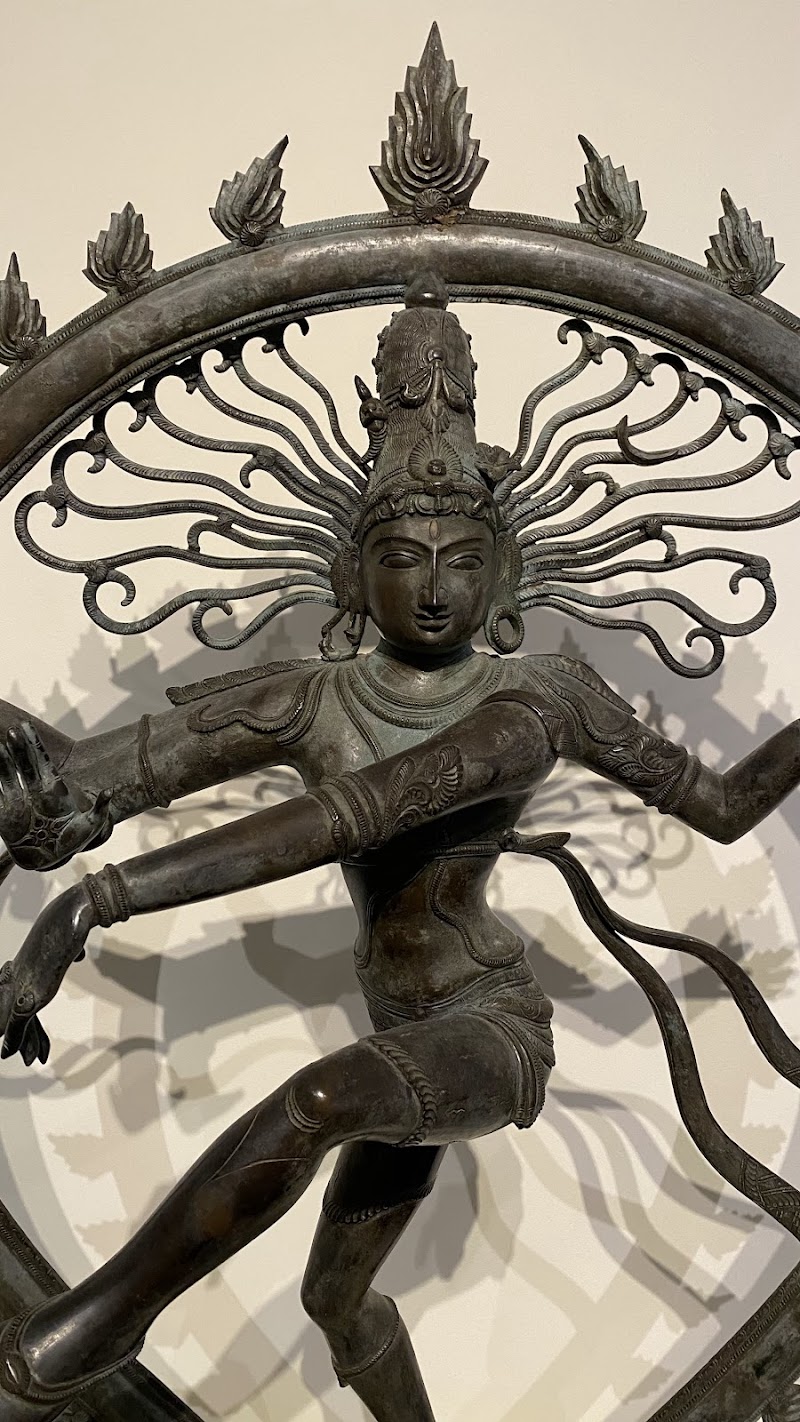 Museum of Fine Arts image 5