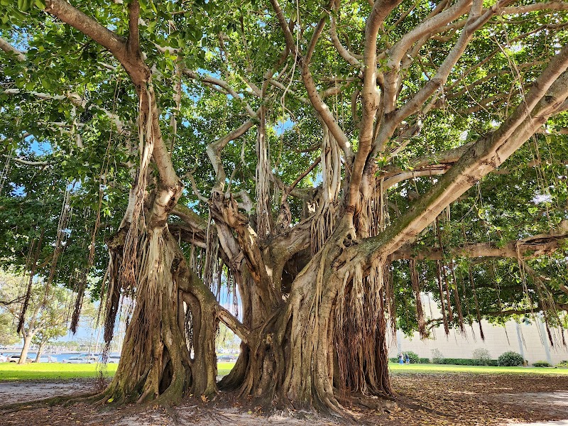 North Straub Park image 1