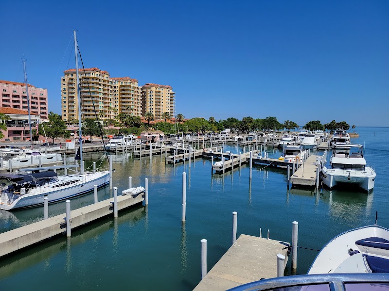 Vinoy Marina image 2