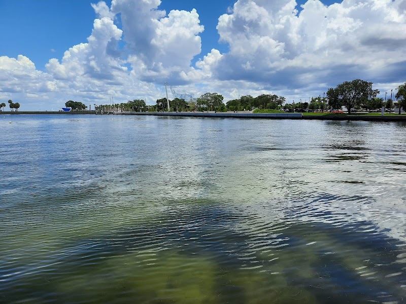 Vinoy Marina image 4