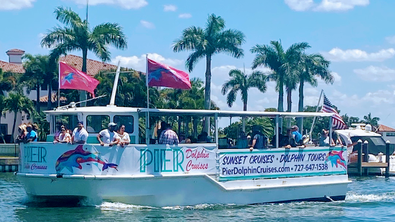 Pier Dolphin Cruises image 1