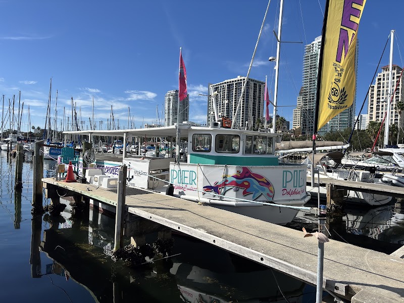 Pier Dolphin Cruises image 5