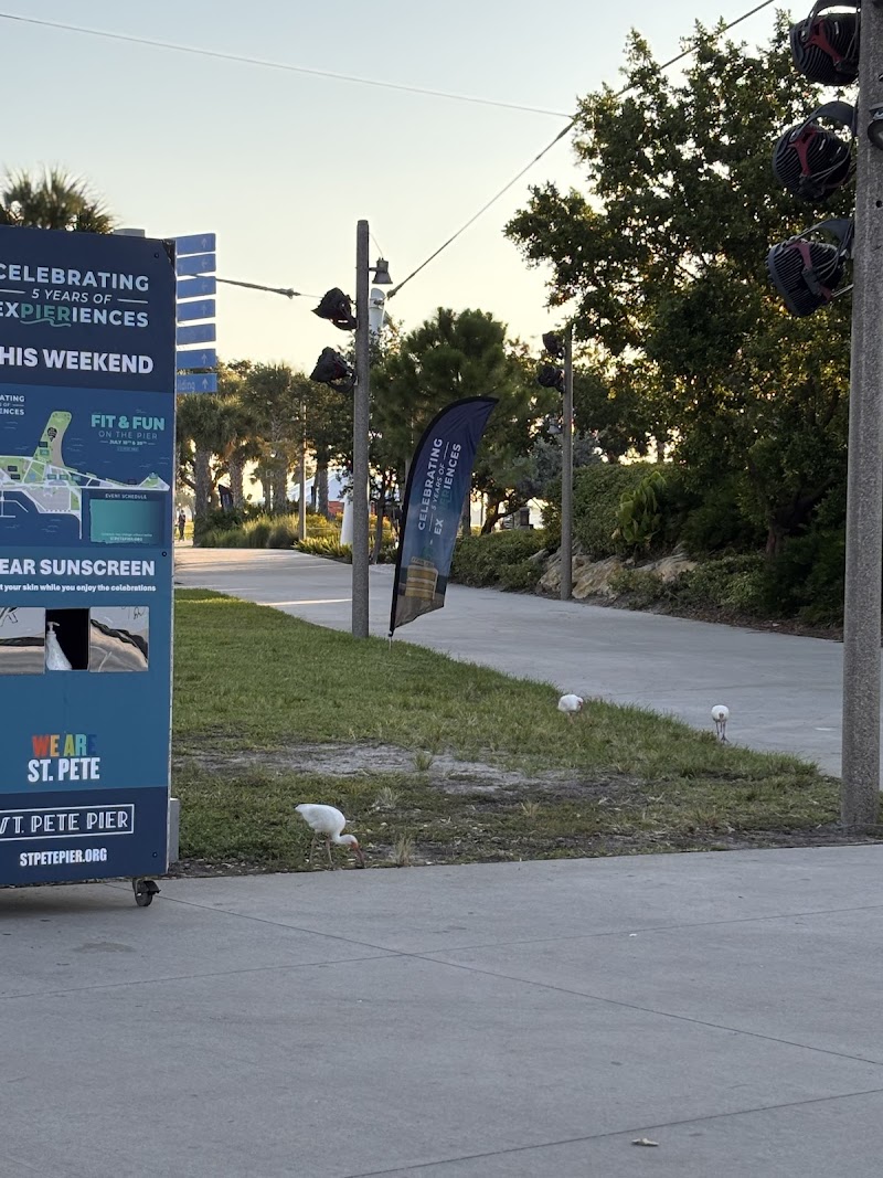 Mindbend World image 3