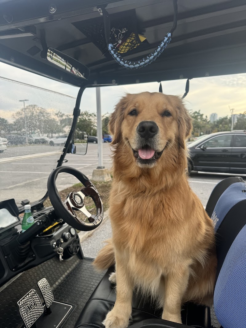 Boo's Coastal Cart Adventures image 2