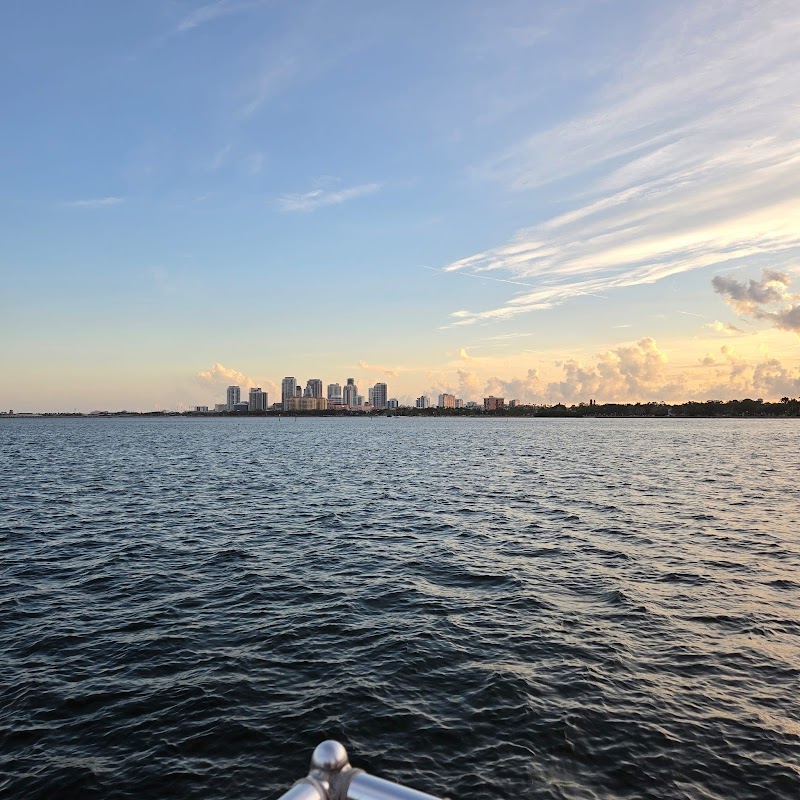 Tampa Bay Watch Discovery Center Eco-Tours image 1