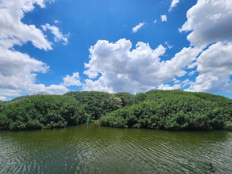 Tampa Bay Watch Discovery Center Eco-Tours image 3