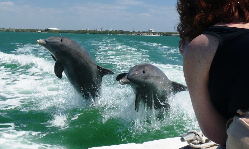 Egmont Key Tours image 1