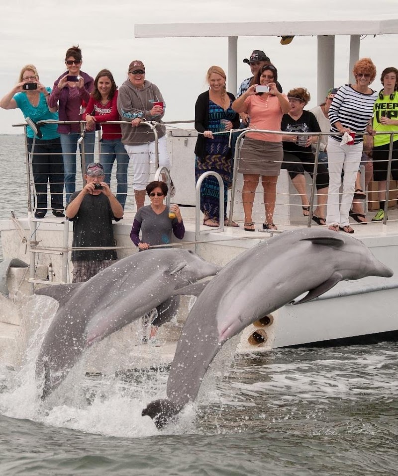 Egmont Key Tours image 2