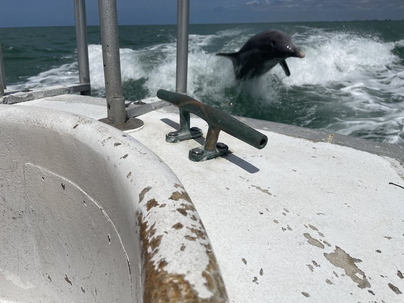 Egmont Key Tours image 3