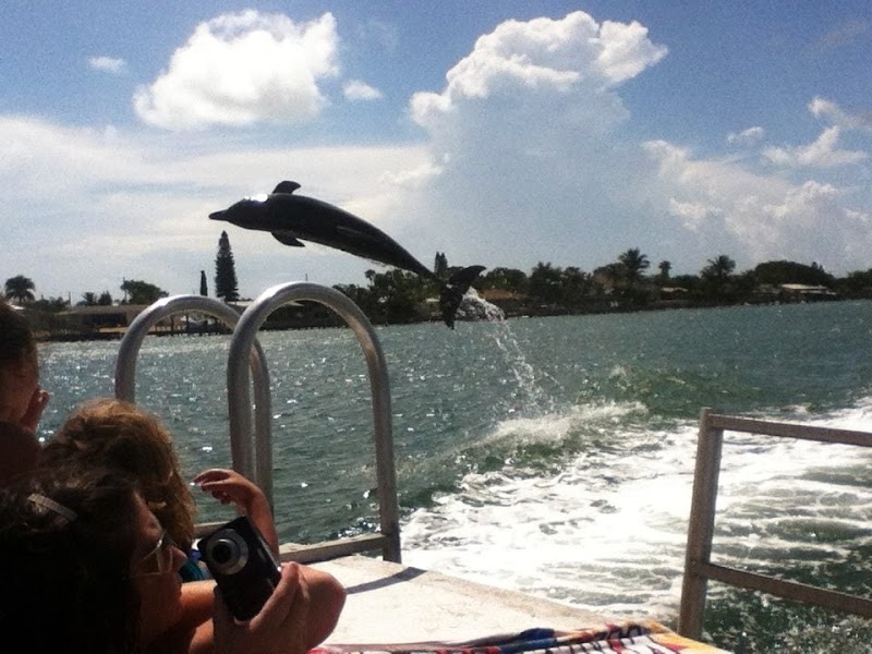 Egmont Key Tours image 5