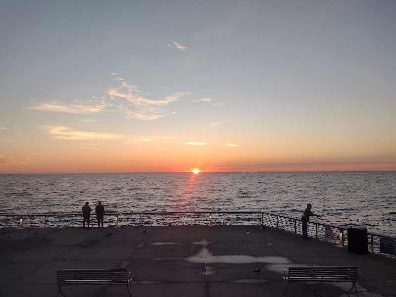 Driftwood Cafe image 4