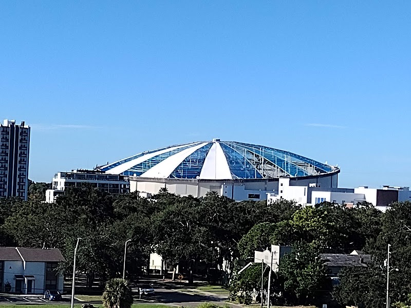 BayCare Medical Group image 2