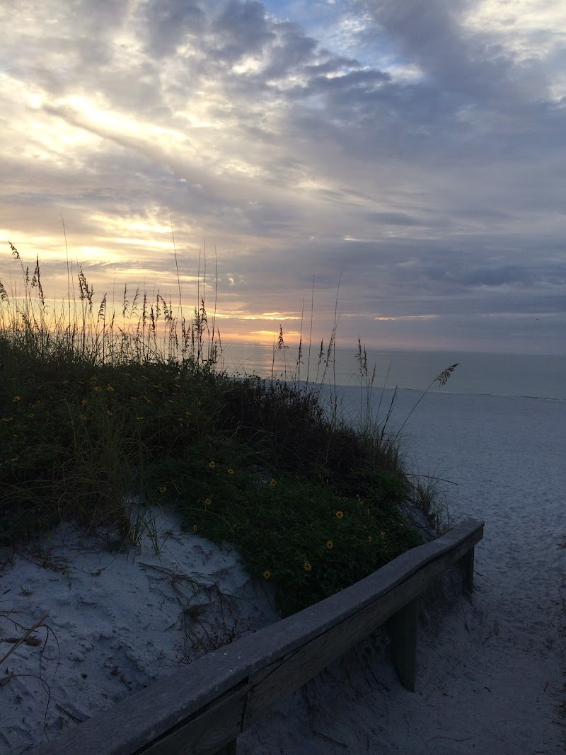 Isabel Caruso, Realtor image 1